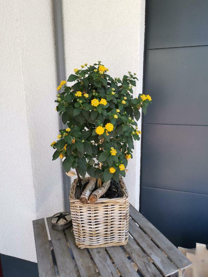 Ferienwohnung Nahe Marina Runthe Bergkamen Esterno foto